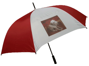Hoylake Automatic Opening Umbrella with full colour print on white panels. As low as £7.85 each.